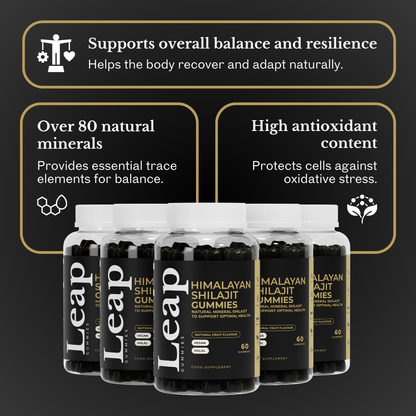 Himalayan Shilajit Gummies